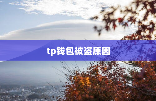 tp钱包被盗原因