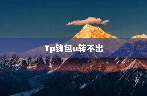 Tp钱包u转不出