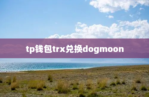 tp钱包trx兑换dogmoon