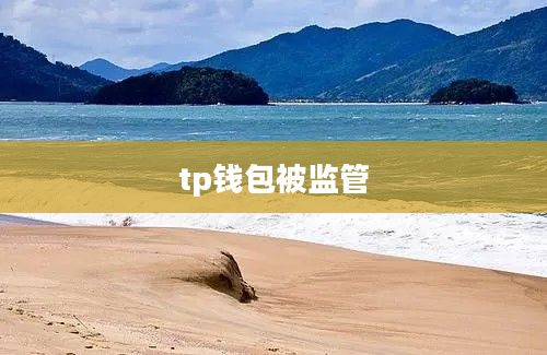 tp钱包被监管