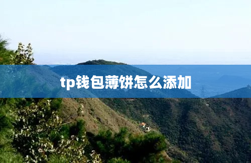 tp钱包薄饼怎么添加