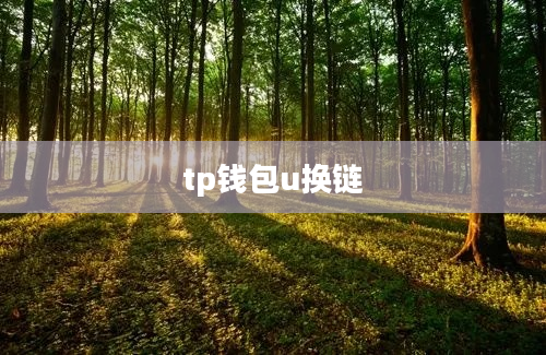 tp钱包u换链