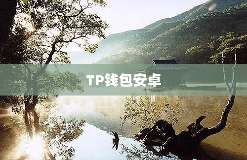 TP钱包安卓
