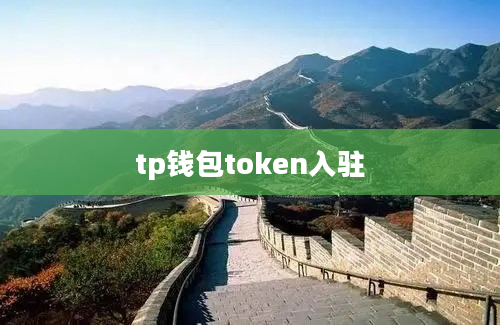 tp钱包token入驻