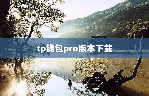 tp钱包pro版本下载