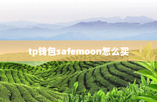 tp钱包safemoon怎么买