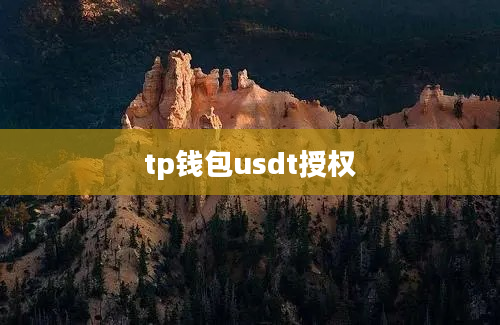 tp钱包usdt授权