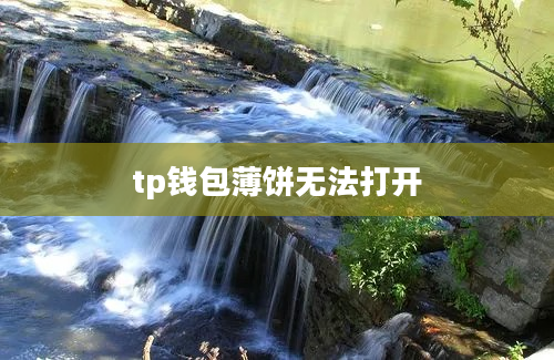 tp钱包薄饼无法打开