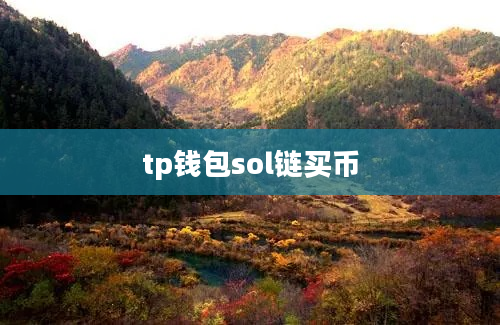 tp钱包sol链买币