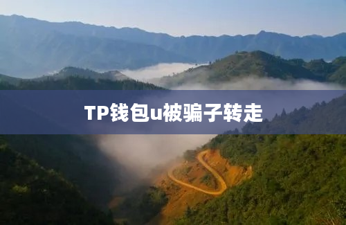 TP钱包u被骗子转走