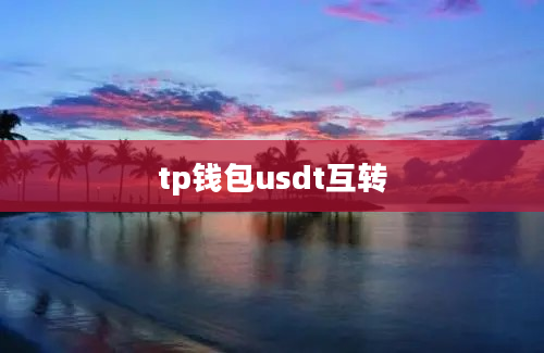 tp钱包usdt互转