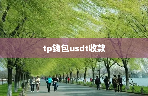 tp钱包usdt收款