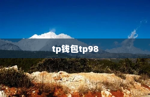 tp钱包tp98