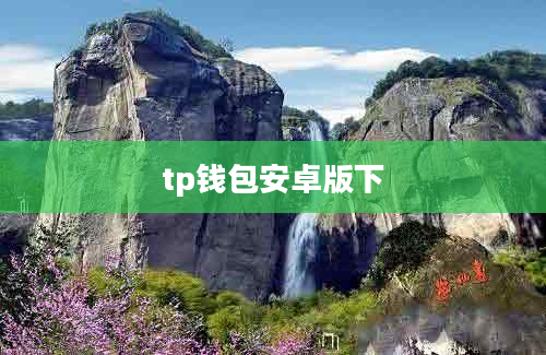 tp钱包安卓版下