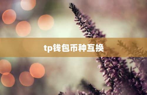 tp钱包币种互换