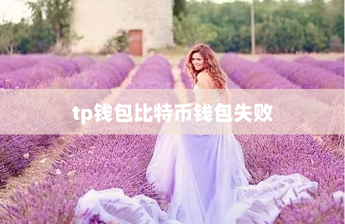 tp钱包比特币钱包失败