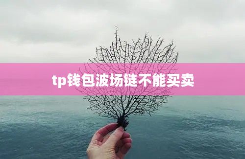 tp钱包波场链不能买卖