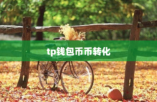 tp钱包币币转化