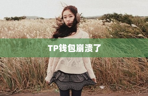 TP钱包崩溃了