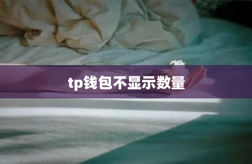 tp钱包不显示数量