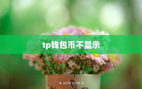 tp钱包币不显示