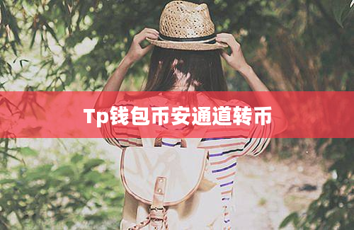 Tp钱包币安通道转币