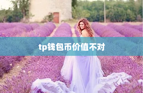tp钱包币价值不对