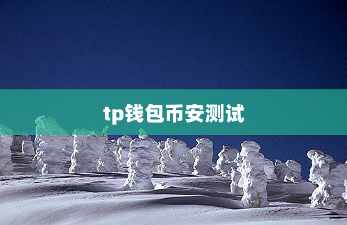 tp钱包币安测试