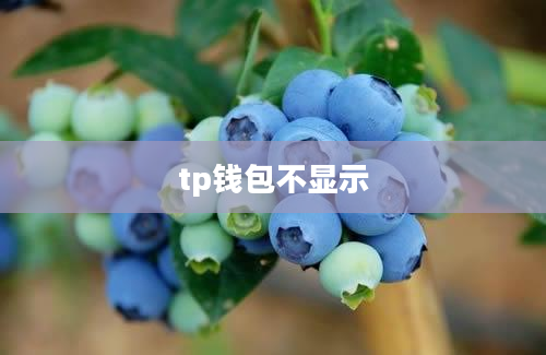 tp钱包不显示