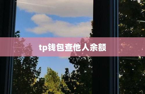 tp钱包查他人余额