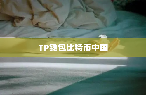 TP钱包比特币中国