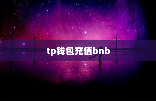 tp钱包充值bnb