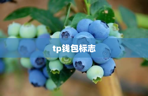 tp钱包标志