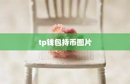 tp钱包持币图片