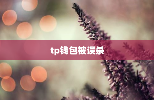tp钱包被误杀