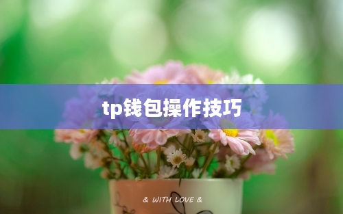 tp钱包操作技巧