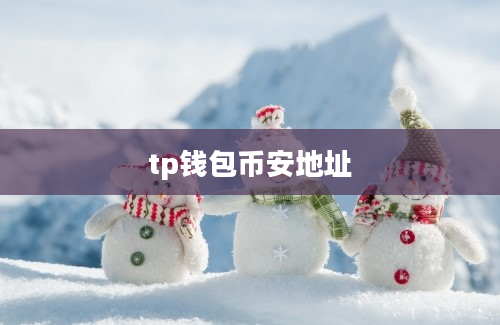 tp钱包币安地址