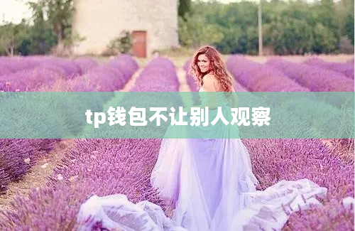 tp钱包不让别人观察