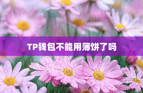 TP钱包不能用薄饼了吗
