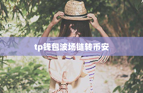tp钱包波场链转币安