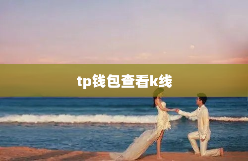 tp钱包查看k线