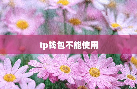 tp钱包不能使用