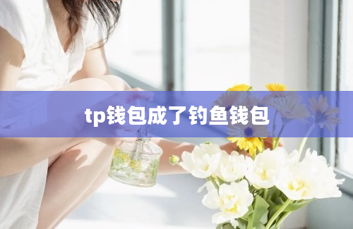 tp钱包成了钓鱼钱包