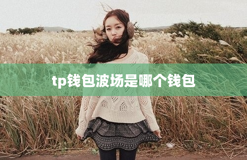 tp钱包波场是哪个钱包