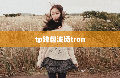 tp钱包波场tron