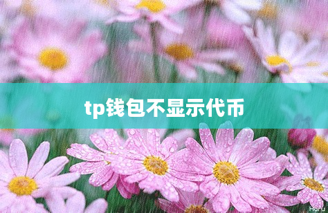 tp钱包不显示代币