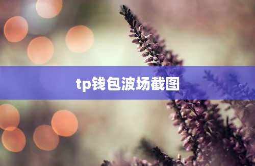 tp钱包波场截图