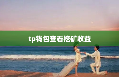 tp钱包查看挖矿收益