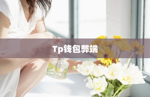 Tp钱包弊端