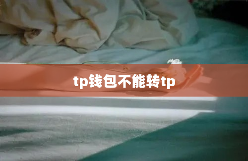 tp钱包不能转tp